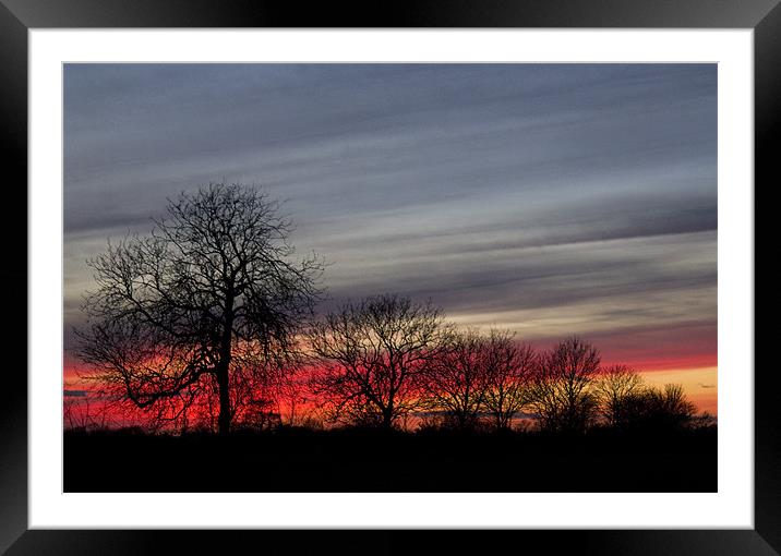 Sunset Through Trees Framed Mounted Print by Darren Burroughs