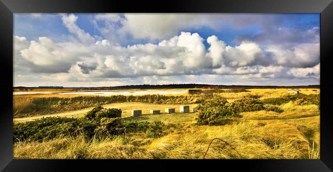 Minsmere RSPB on the Suffolk Coast. Framed Print by Darren Burroughs