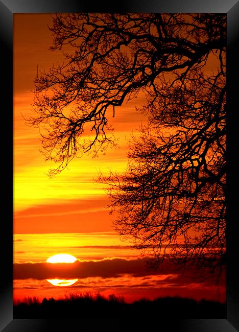Winter Sunrise Framed Print by Darren Burroughs