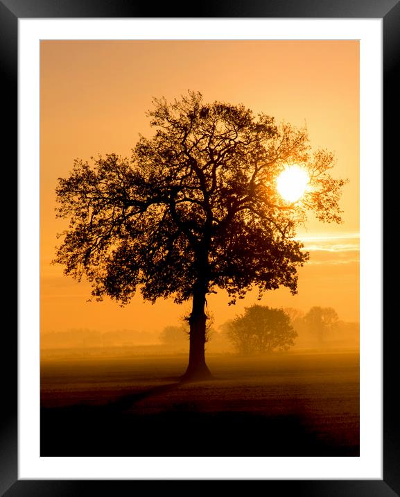 A Rural Norfolk Sunrise Framed Mounted Print by Darren Burroughs
