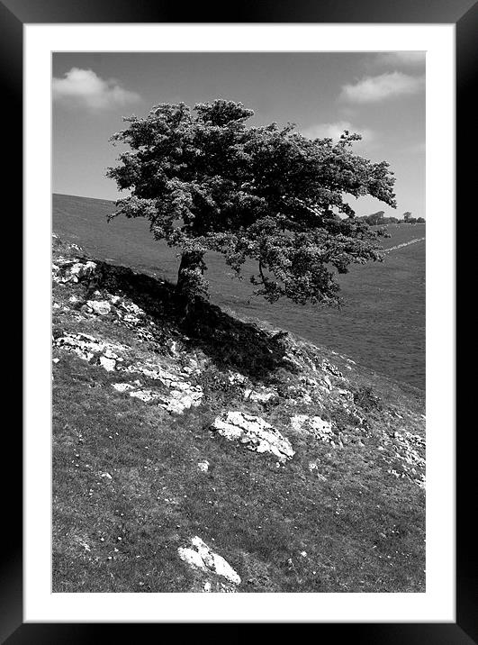 Peak District Hanging On Framed Mounted Print by Darren Burroughs