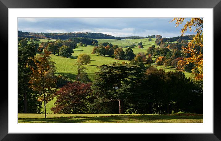 Autumn Colours Framed Mounted Print by Emma Kenmore