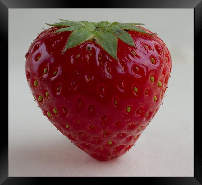 Strawberry Framed Print by Emma Kenmore