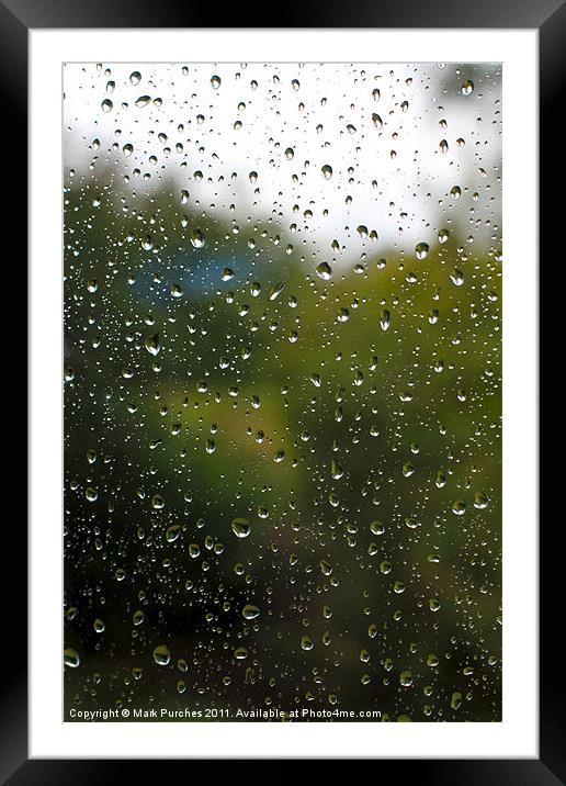 Summer Rain Drops Framed Mounted Print by Mark Purches