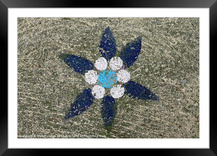 Blue Painted Flower on Rough Concrete Stone Framed Mounted Print by Mark Purches