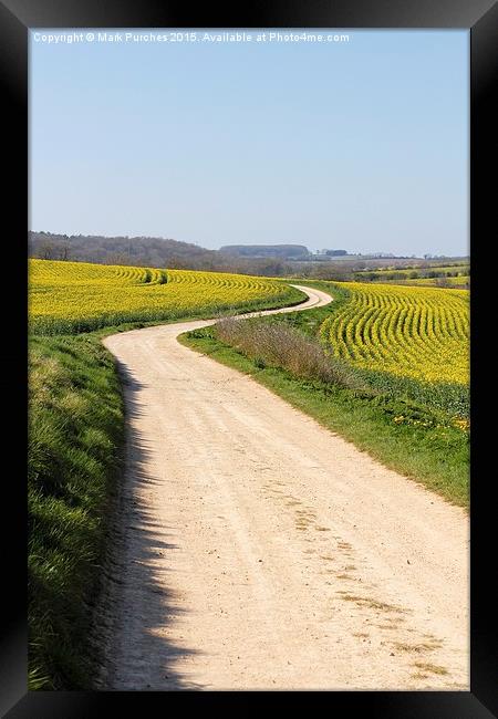 Winding Road Track Through Yellow Rape Seed Fields Framed Print by Mark Purches