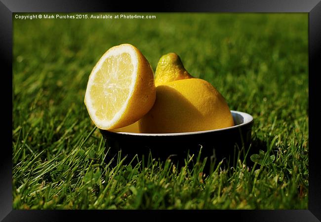 Refreshing Sliced Lemon Outdoors on Grass Framed Print by Mark Purches