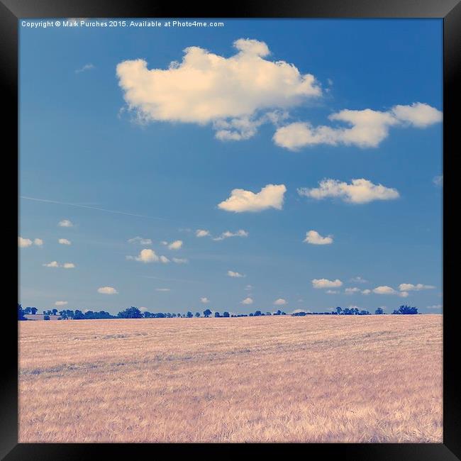 Large Barley Field & Blue Sky Instagram Square Framed Print by Mark Purches