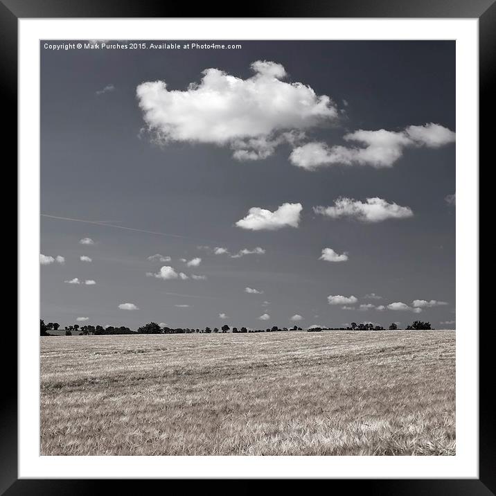Large Barley Field black white Instagram Square Framed Mounted Print by Mark Purches