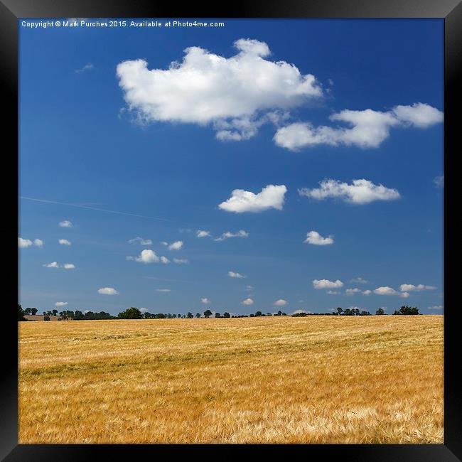 Large Barley Field & Blue Sky Square Framed Print by Mark Purches