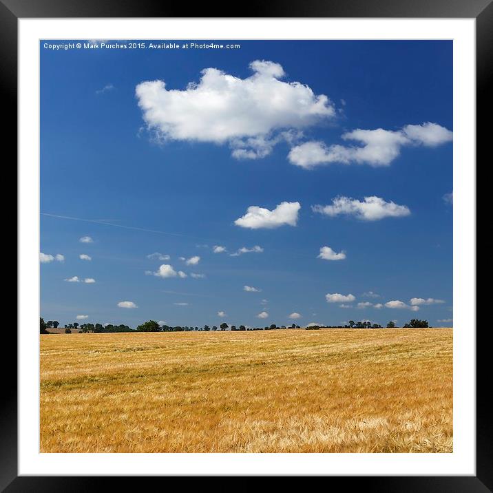 Large Barley Field & Blue Sky Square Framed Mounted Print by Mark Purches