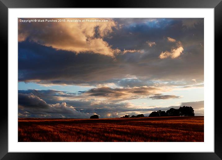 Cotswolds Barley Field & Sunset Framed Mounted Print by Mark Purches