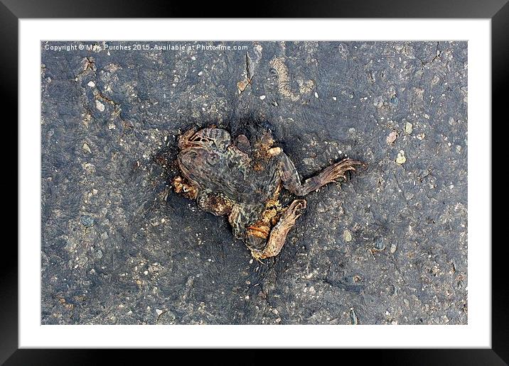 Flat Frog Road Texture Squashed Framed Mounted Print by Mark Purches