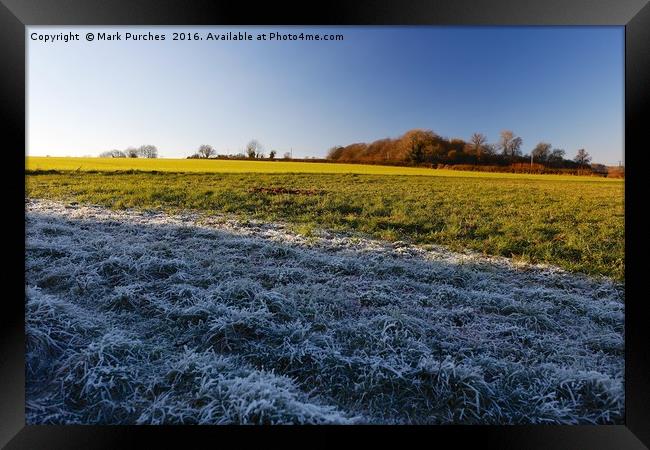 Winter Frosty Grass Landscape with Vibrant Blue Sk Framed Print by Mark Purches