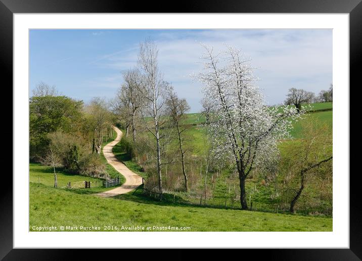 Meandering Track Through Green Fields with Cherry  Framed Mounted Print by Mark Purches