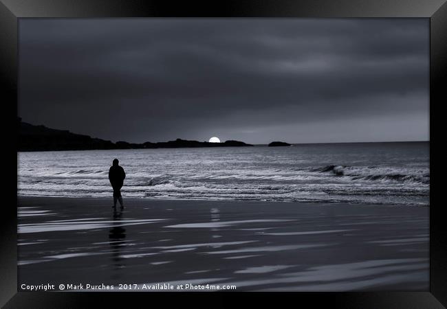 Silhouette of Man Walking Alone on Beach Sunset Framed Print by Mark Purches