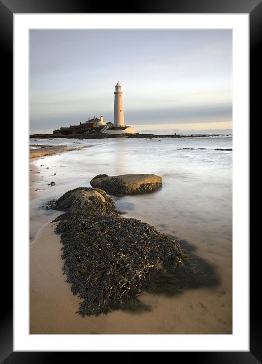St Mary's Island Framed Mounted Print by Steve Glover
