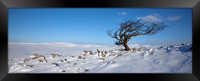 A Yorkshire Winter Wilderness Framed Print by Steve Glover