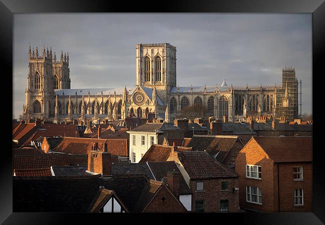 The Cathedral Church of St Peter in York Framed Print by Steve Glover