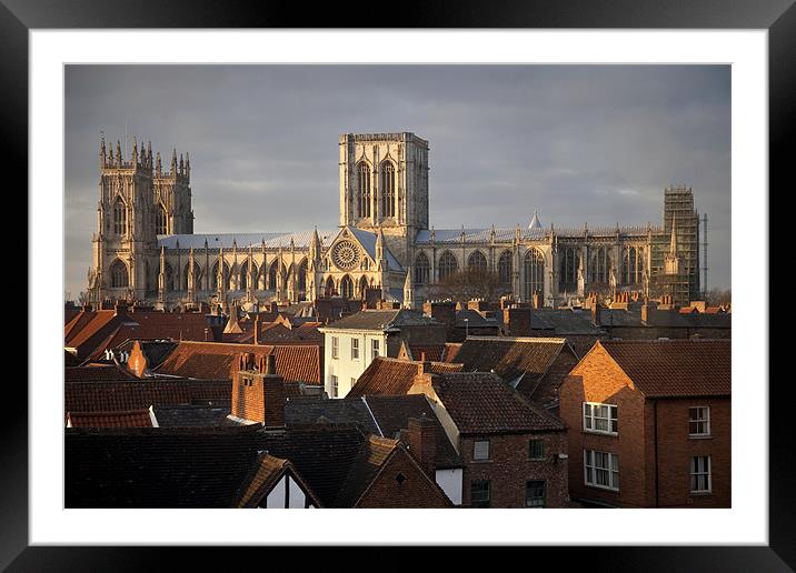 The Cathedral Church of St Peter in York Framed Mounted Print by Steve Glover