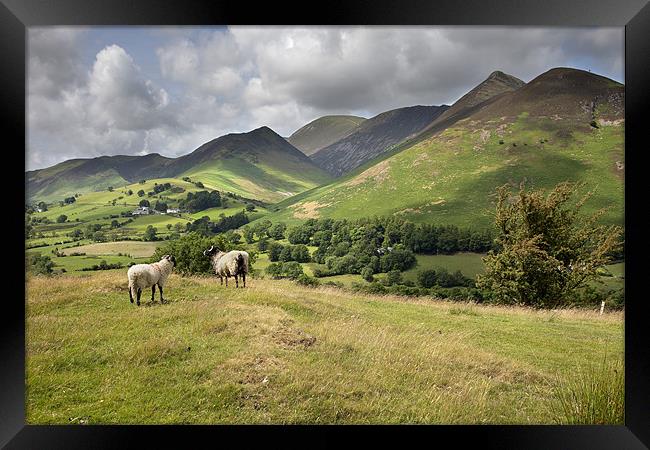 The Newlands Valley Framed Print by Steve Glover