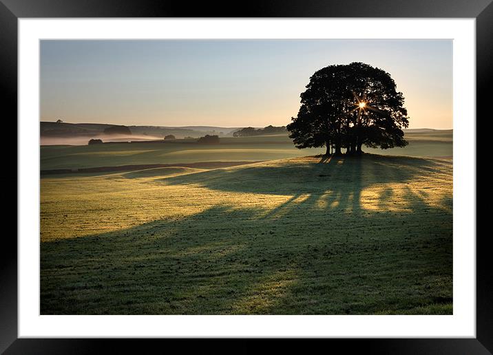 A New Day - Airton Framed Mounted Print by Steve Glover