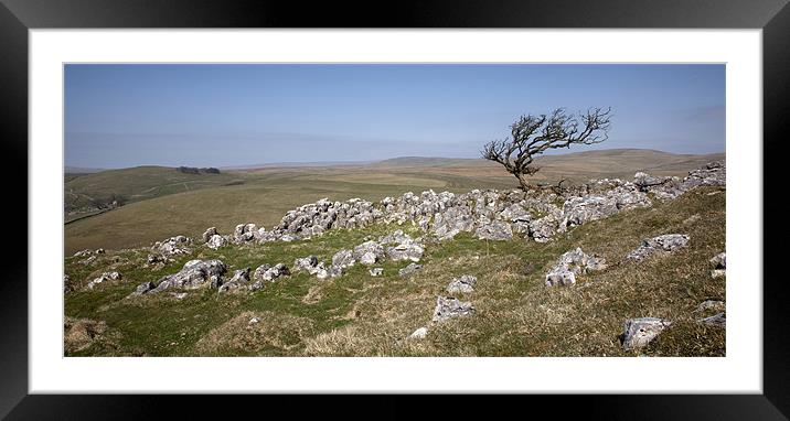 Above Bordley On Malham Moor Framed Mounted Print by Steve Glover