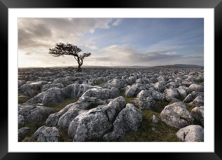 A Yorkshire Dales Limestone Desert Framed Mounted Print by Steve Glover