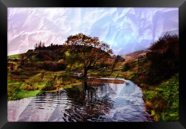 Oak tree textured Framed Print by Doug McRae