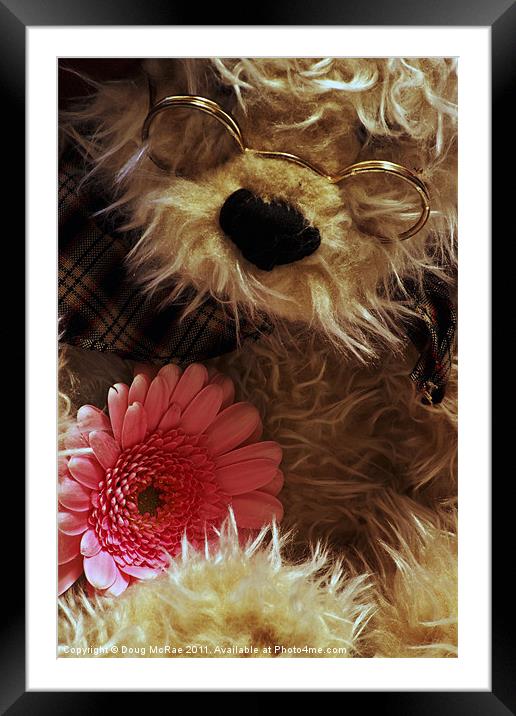 Teddy and Flower Framed Mounted Print by Doug McRae
