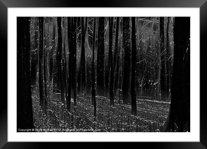Mystery woods Framed Mounted Print by Doug McRae