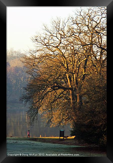 Walking the dog Framed Print by Doug McRae