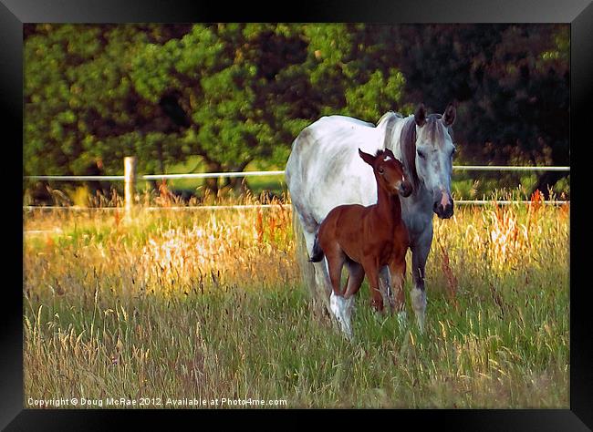 Mothers love Framed Print by Doug McRae