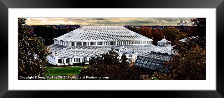Temperate House Framed Mounted Print by Doug McRae