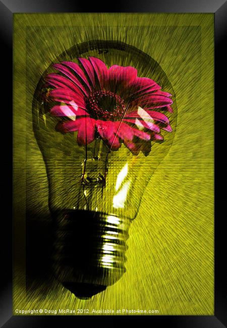 Flowering bulb Framed Print by Doug McRae