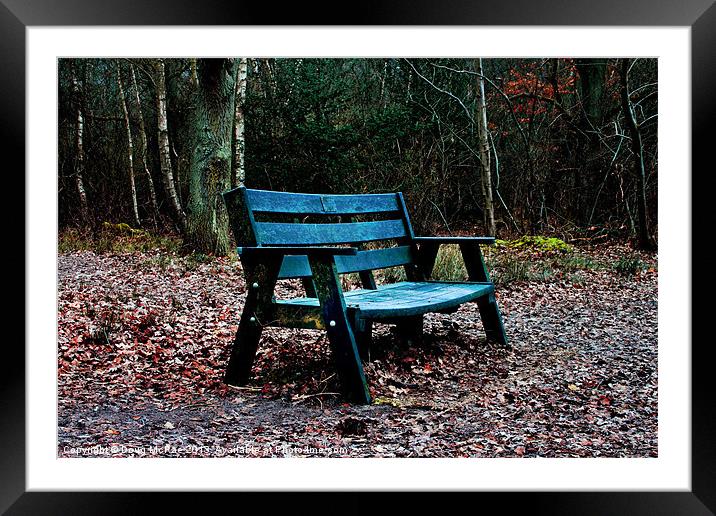 some where to sit Framed Mounted Print by Doug McRae