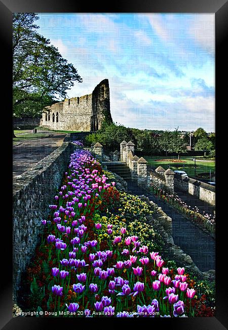 tulips Framed Print by Doug McRae