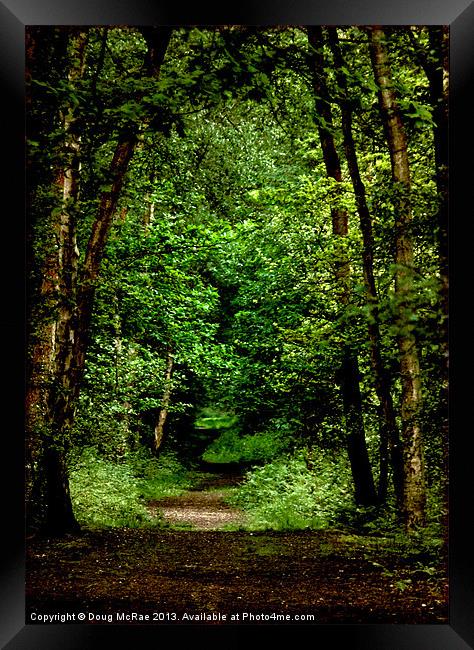 woodland path Framed Print by Doug McRae