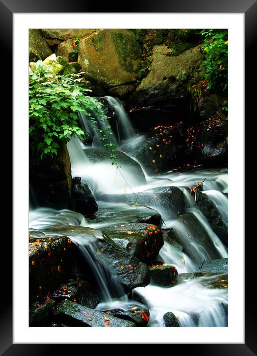 Waterfall in autumn Framed Mounted Print by Doug McRae