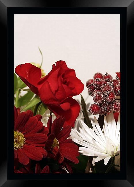 Xmas frowers Framed Print by Doug McRae