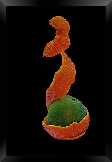 Fruit Framed Print by Doug McRae