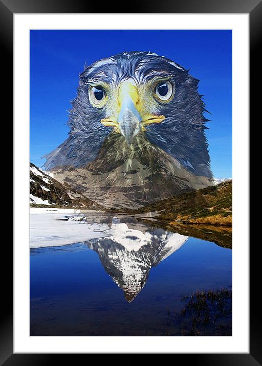 Eagle mountain Framed Mounted Print by Doug McRae