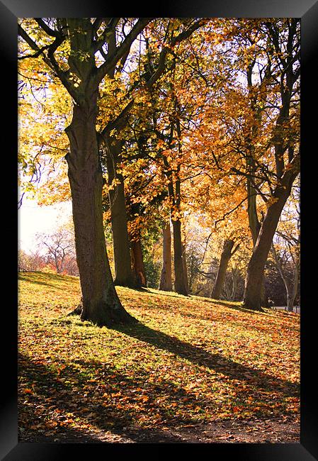 Autumn was here ... Framed Print by Jeanne Goncalves