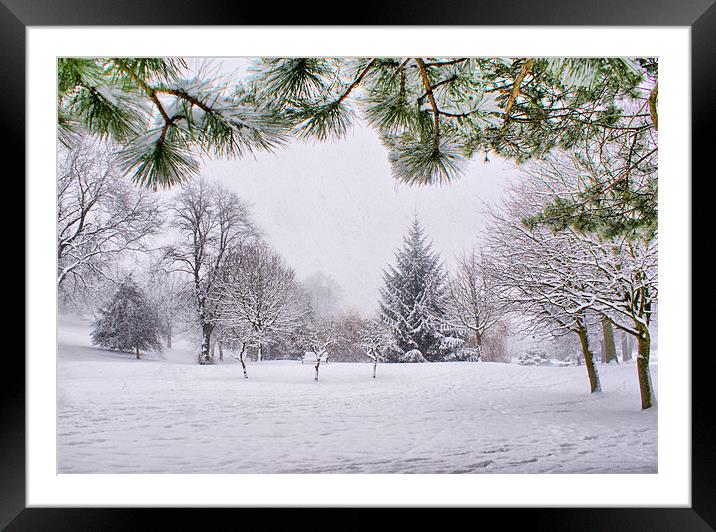 Walking In A Winter Wonderland Framed Mounted Print by Sandi-Cockayne ADPS