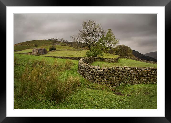 Moody Muker Meadows Framed Mounted Print by Sandi-Cockayne ADPS