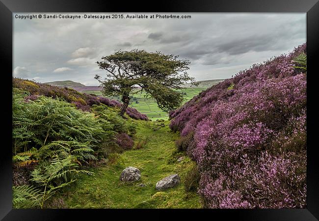  The Gnarly Tree & Heather Of Grinton Moor Framed Print by Sandi-Cockayne ADPS