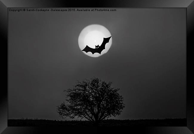  Bat In The Moon Framed Print by Sandi-Cockayne ADPS