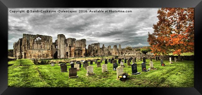 Easby Abbey Panorama Framed Print by Sandi-Cockayne ADPS