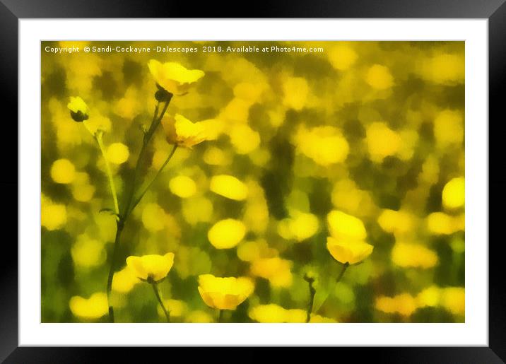 Painterly Buttercups Framed Mounted Print by Sandi-Cockayne ADPS