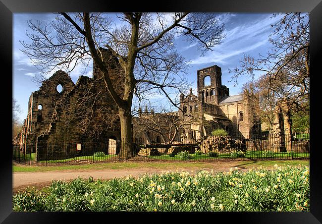 Kirkstall Abbey, Nr Leeds Framed Print by Sandi-Cockayne ADPS